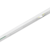 Nieuwe Lichtlijnen