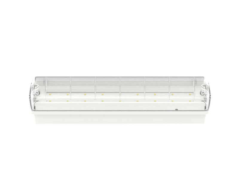 Calex Signa VL150 LED Noodverlichtingsarmatuur - IP65 - 1W - 6000K - 150lm - 3u